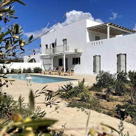 White Pearl Villa Naxos With Private Swimming Pool Naxos City Exterior foto